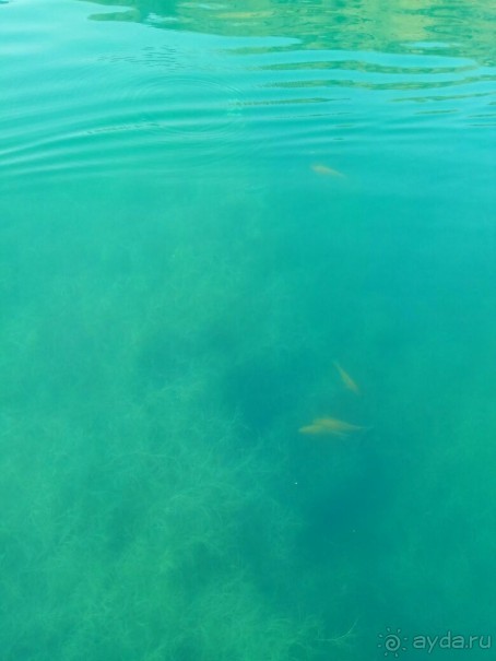 Альбом отзыва "Крит,поселок Бали"