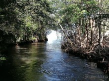 Экскурсии из отеля Риу Рипублик в Доминикане