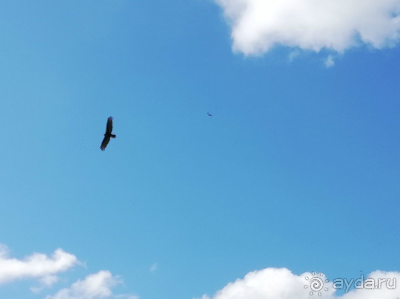 Альбом отзыва "Экскурсии из отеля Риу Рипублик в Доминикане"