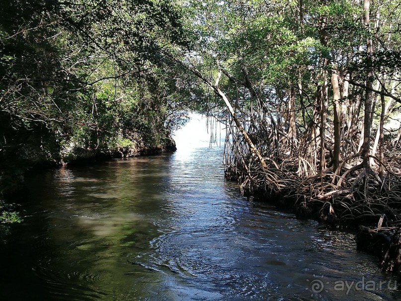 Альбом отзыва "Экскурсии из отеля Риу Рипублик в Доминикане"