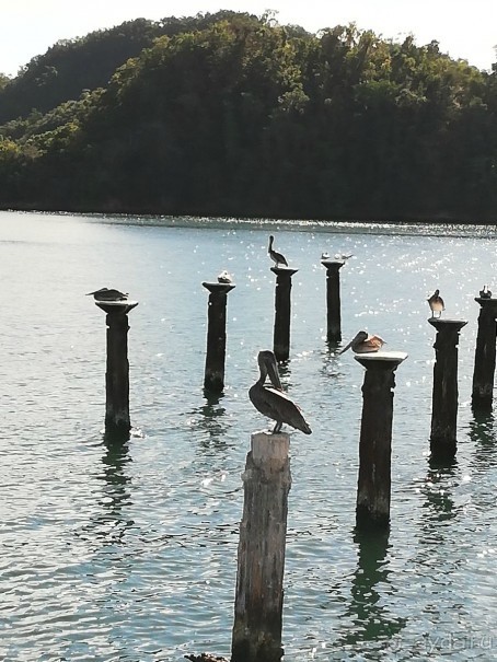 Альбом отзыва "Экскурсии из отеля Риу Рипублик в Доминикане"