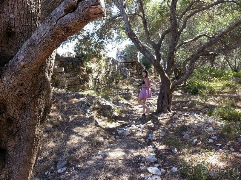 Корфу.  Весь покрытый зеленью... абсолютно весь..