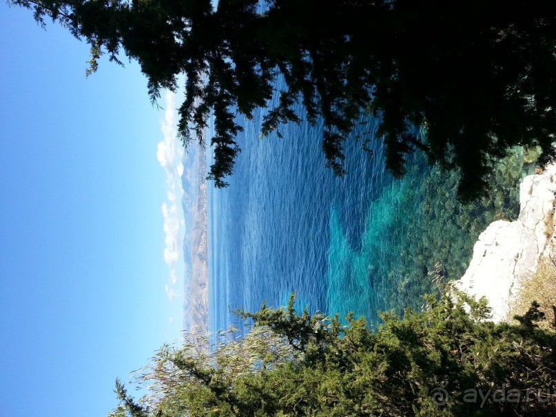 Корфу.  Весь покрытый зеленью... абсолютно весь..