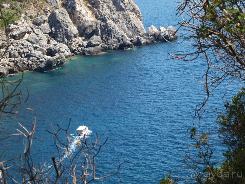 Корфу.  Весь покрытый зеленью... абсолютно весь..