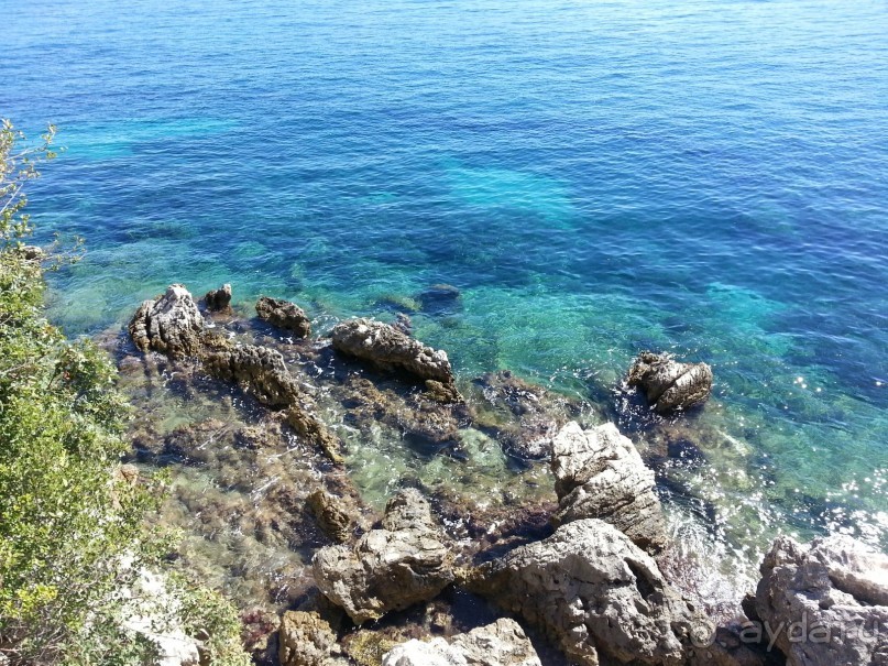 Корфу.  Весь покрытый зеленью... абсолютно весь..