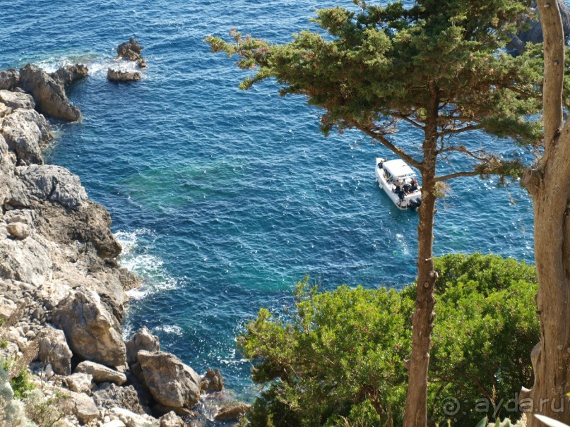 Корфу.  Весь покрытый зеленью... абсолютно весь..