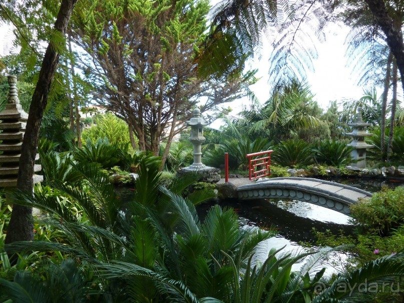 Есть в океане Остров чУдный! (или 10 дней на Мадейре).