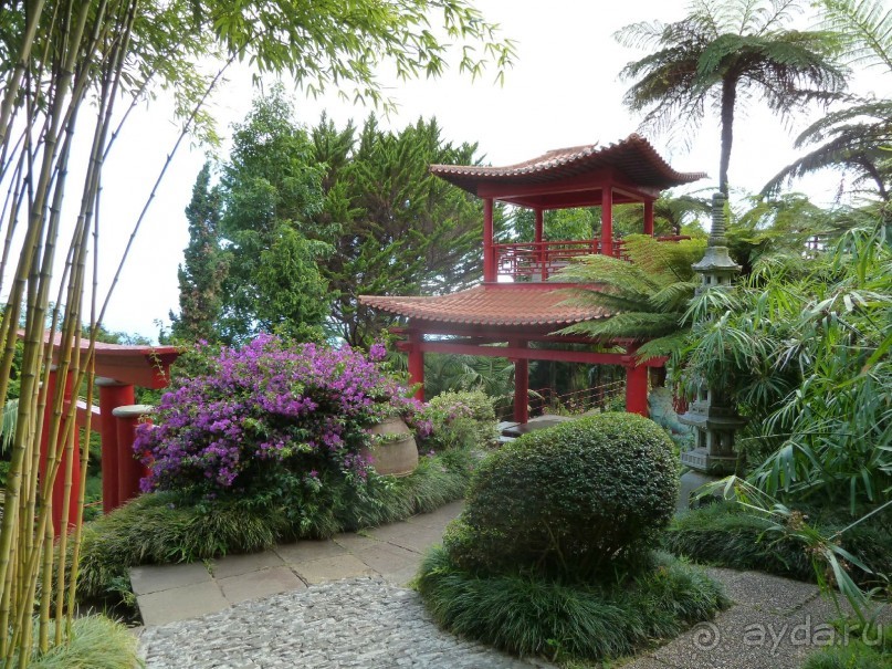 Есть в океане Остров чУдный! (или 10 дней на Мадейре).