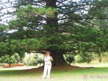 Есть в океане Остров чУдный! (или 10 дней на Мадейре).