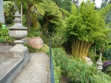 Есть в океане Остров чУдный! (или 10 дней на Мадейре).