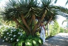 Есть в океане Остров чУдный! (или 10 дней на Мадейре).