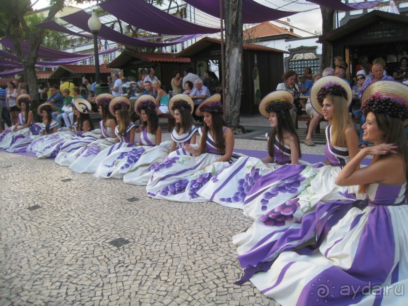 Есть в океане Остров чУдный! (или 10 дней на Мадейре).