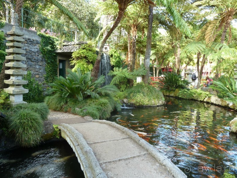 Есть в океане Остров чУдный! (или 10 дней на Мадейре).