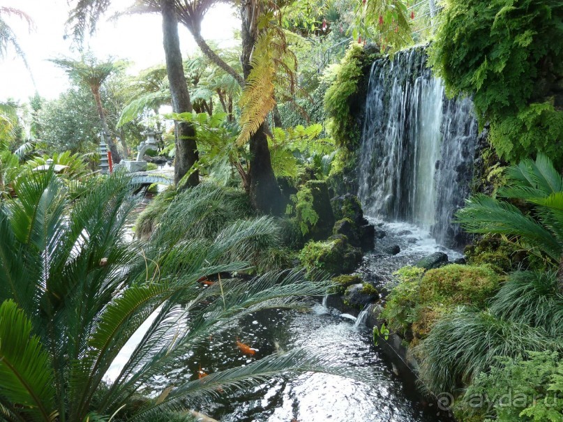 Есть в океане Остров чУдный! (или 10 дней на Мадейре).