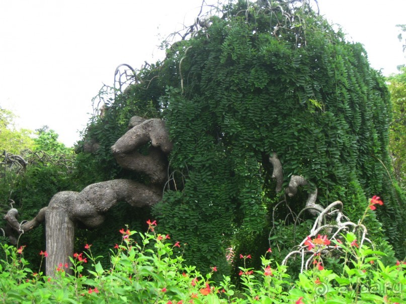 Есть в океане Остров чУдный! (или 10 дней на Мадейре).