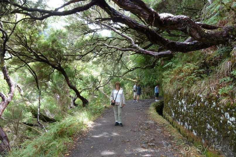 Есть в океане Остров чУдный! (или 10 дней на Мадейре).