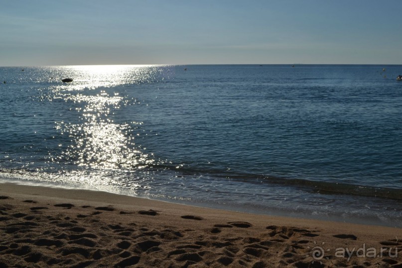 фото Florida Park