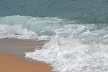 фото Florida Park