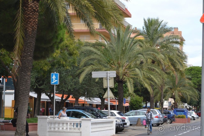 Флорида Парк, Санта Сусанна и стоит ли ехать