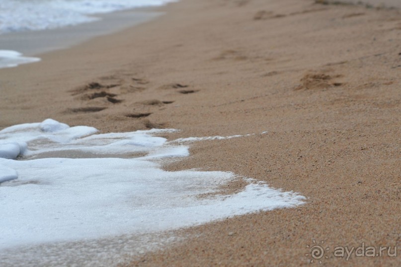 Флорида Парк, Санта Сусанна и стоит ли ехать