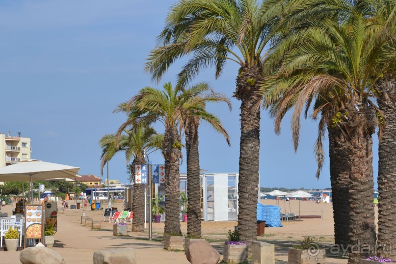 Флорида Парк, Санта Сусанна и стоит ли ехать