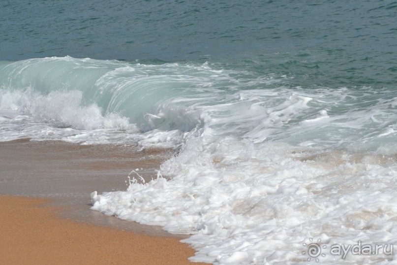 Флорида Парк, Санта Сусанна и стоит ли ехать