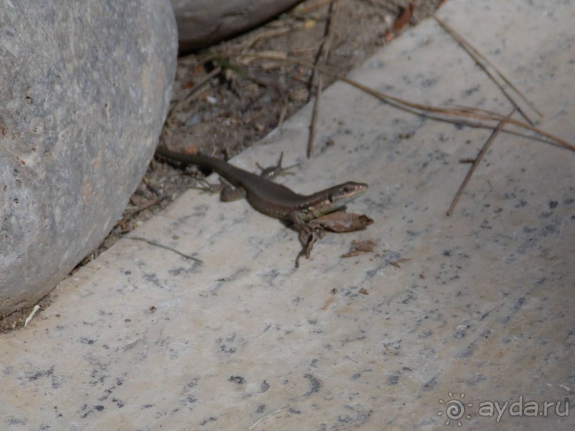 Отличный отдых