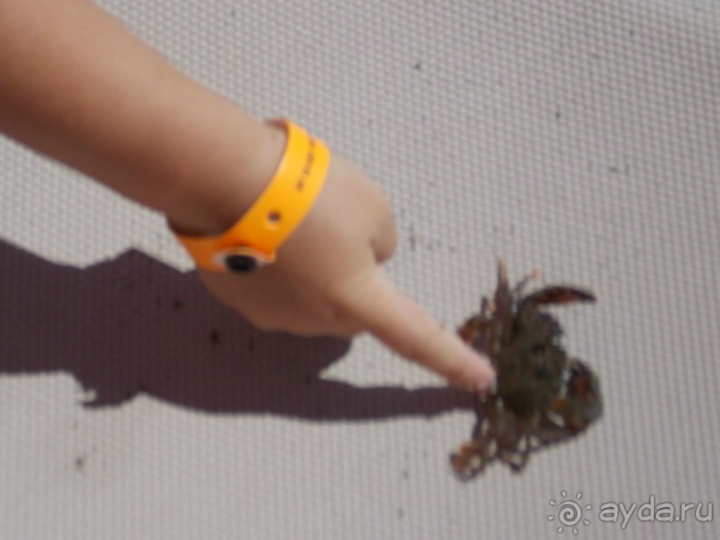 Отличный отдых