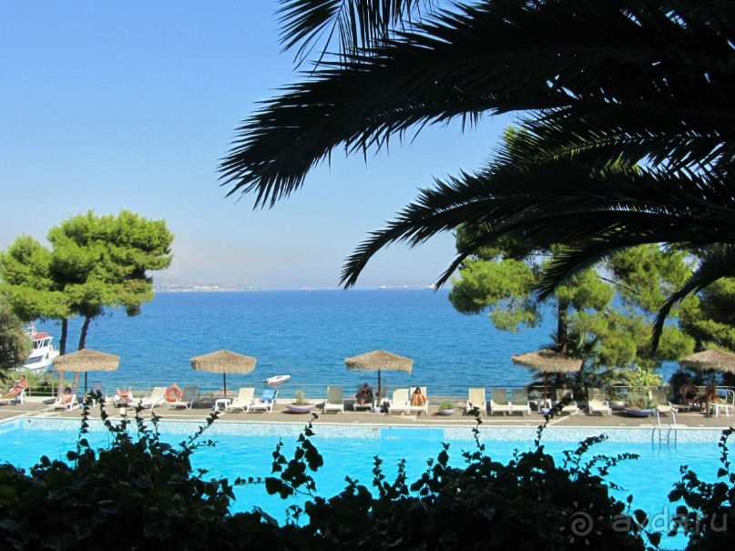 Потрясающий King Saron!