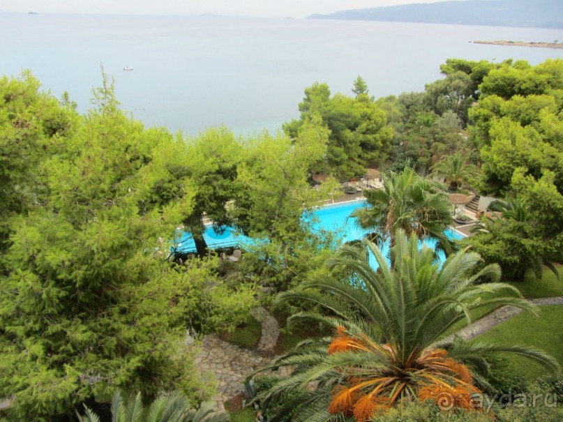 Потрясающий King Saron!