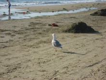 Есть люди, которые ухудшают общее впечатление о санатории, а в общем - хорошо.