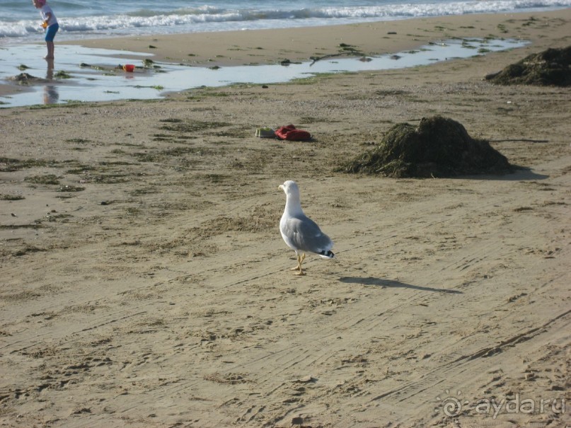 Есть люди, которые ухудшают общее впечатление о санатории, а в общем - хорошо.