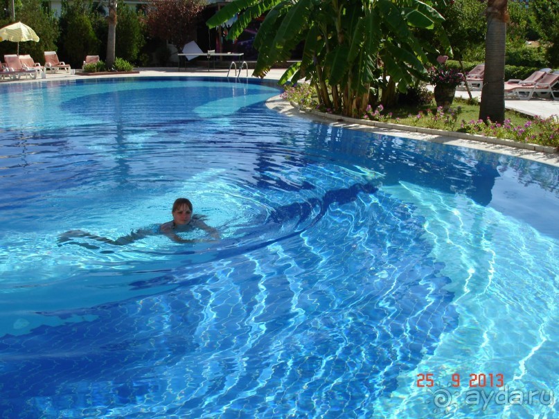 Нормальный отель