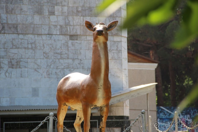 Санаторий Зумрад (Исфара)