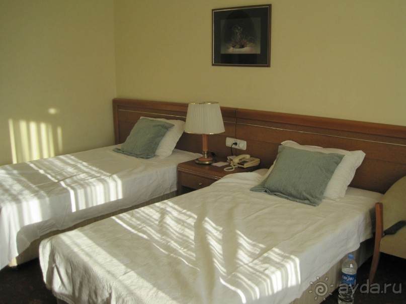 фото Sol Brisamar