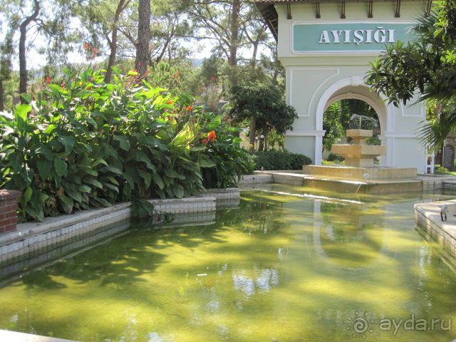 фото Sol Brisamar