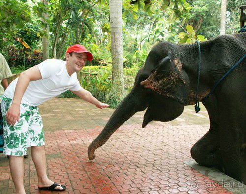 фото Bali Tropik Resort & Spa