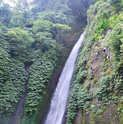 фото Bali Tropik Resort & Spa