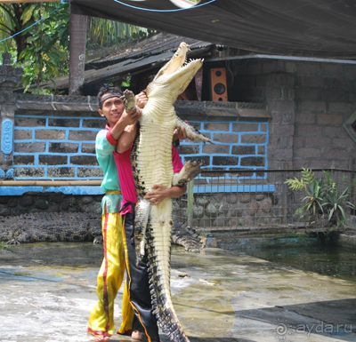 фото Bali Tropik Resort & Spa