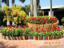 Вьетнам в период празднования Восточного Нового года.