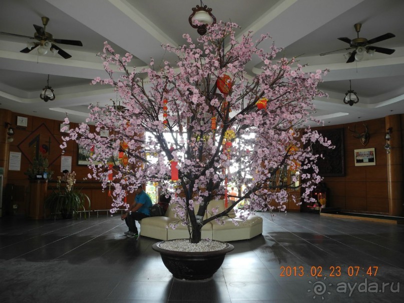 Вьетнам в период празднования Восточного Нового года.