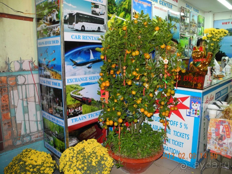 Вьетнам в период празднования Восточного Нового года.