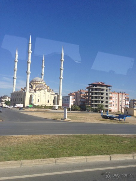 фото Albir Playa Hotel & SPA