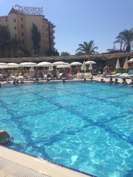 фото Albir Playa Hotel & SPA