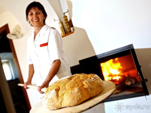 Отдых в Альпах