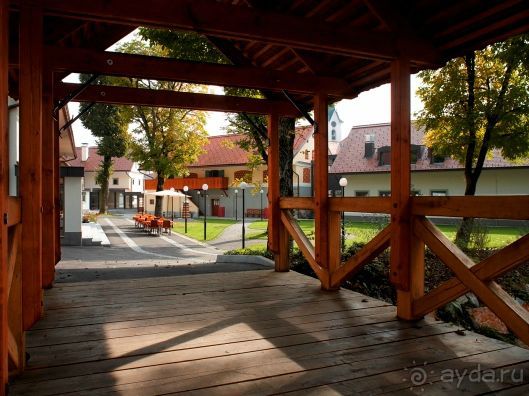 Отдых в Альпах