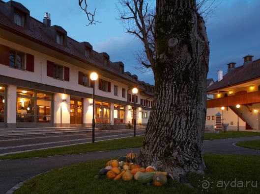 Отдых в Альпах