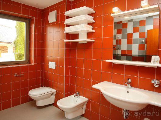 Отдых в Альпах