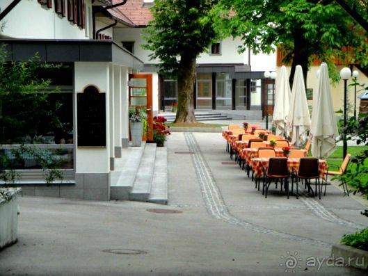 Отдых в Альпах