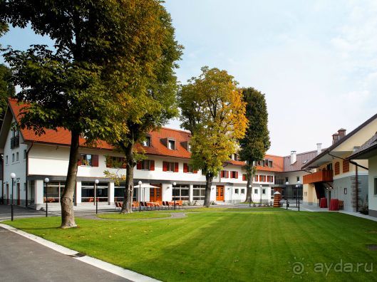 Отдых в Альпах